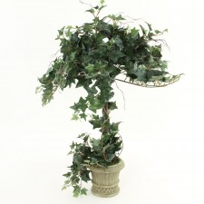 30" ENG.IVY TOPIARY POTTED