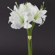 TIGERL LILY X7 BOUQUET A25