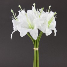 TIGERL LILY X7 BOUQUET A25