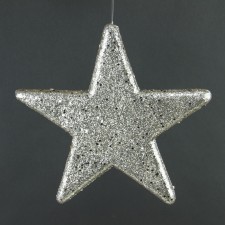 10"GLITTER STAR CHAMP