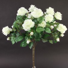 ROSE BUSH X15 CREAM