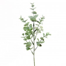 13.5" EUCALYPTUS X7 GREEN
