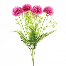CHRYSANTHEMUM X5 BEAUTY