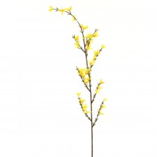 32" GARDN CUT FORSYTH X67 A25