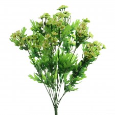 16"PEPPER DAISY BUSH GRN A25