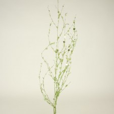 43"ACRL.SEQUIN TWIG 3/BU A4