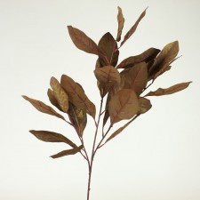 GILD.MAGNOLIA LEAF STEM X3