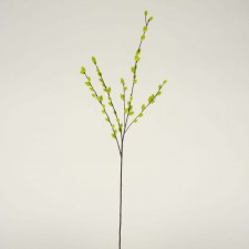 31" COTTAGE PUSSY WILLOW X5 GREEN