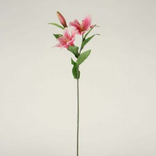 27"STARGAZER LILY X2 PINK