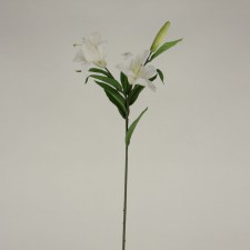 27"STARGAZER LILY X2 WHITE