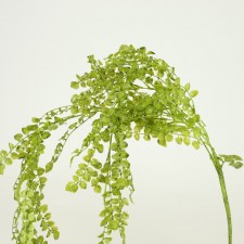 34"PL.GLT BUTTN FERN VINE GRN