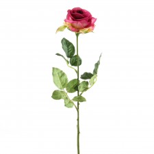 25"BECKY'S ROSE STEM A4