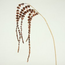 43"GLT BEAD AMARANTHUS CHOCOL