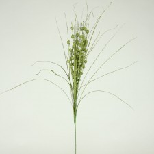 24"GLTR GRASS BALL SPRAY GRN