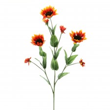 27"SUNFLOWER X3 A4