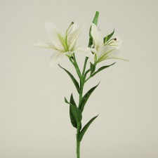 24"ILLUSION TIGER LILY X2