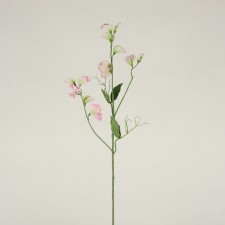 24"AMERICAN SWEET PEA X2 PINK
