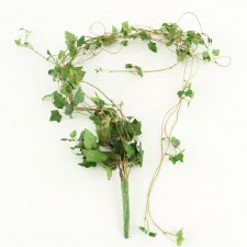 54" WATERS EDGE IVY VINE
