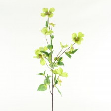 39"DOGWOOD BLSM SPRAY X13