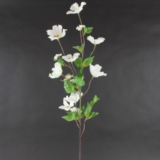 39" DOGWOOD BLSSM SPRY X13 WHT