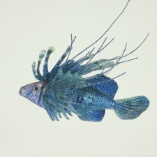 8"GLTR/BEADED LION FISH