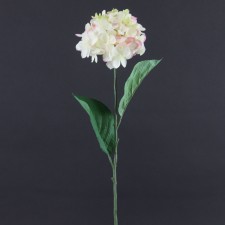 29"HYDRANGEA SPRY A4