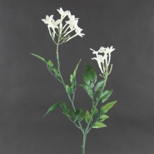 26"STEPHANOTIS SPRAY X2 WHT