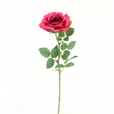 28" ALLURE OPEN ROSE MAGENTA