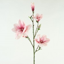 37"NT.SAUCER MAGNOLIA SPRAY