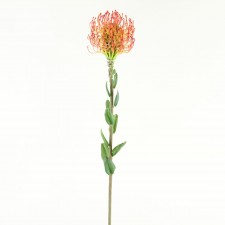 25"PIN CUSHION PROTEA FLAME