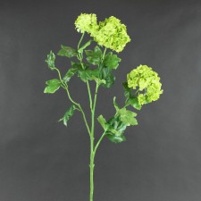 25" SNOWBALL SPRAY X3 GREEN