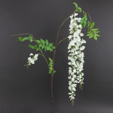 69"GRAND TRP WISTERIA STEM