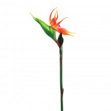 31"NAT.TOUCH BIRD OF PARADISE