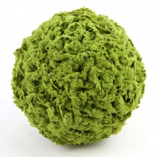 5.5" MOSS ORB A25