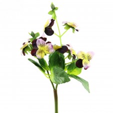 9" PANSY BUSH
