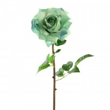 26"CALEDONIA ROSE A25