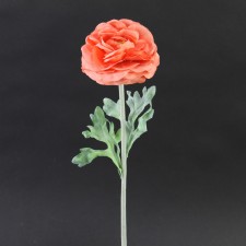 19"RANUNCULUS SPRAY A25