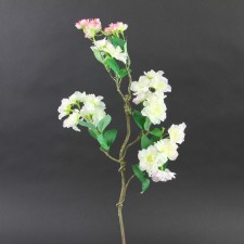 22"CHERRY BLOSSOM SPRY A4