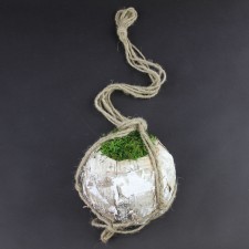 38"LG.HANGING BIRCH PLANTER