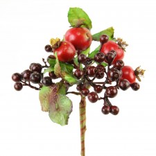 9"MIX BERRY POMOGRAN.PICK A25