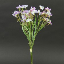 15"DIANTHUS BUNCH X3 A25