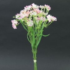 5"DIANTHUS BUNCH X3 A4