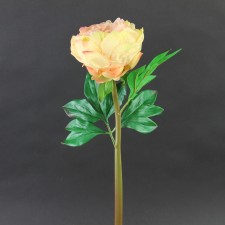 22"JUST CUT PEONY A25