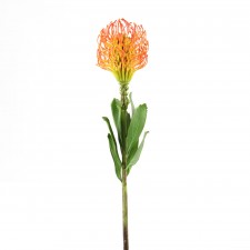 21"PINCUSHION PROTEA ORANGE