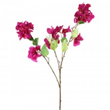 41"BOUGAINVILLEA BRANCH