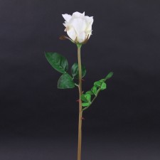 24"JUST CUT GARDEN ROSE