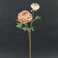 22"DRIED RANUNCULUS SPRAY