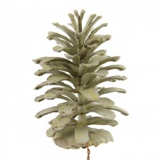 5"LONG LEAF PINECONE A25