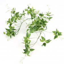48"TRADESCANTIA GARLAND TT.GR