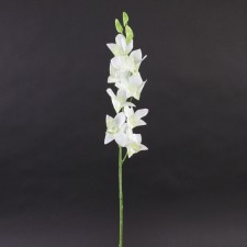 27"DENDROBIUM WHITE